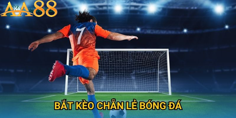 Khái quát về Kèo Chẵn Lẻ Tại Nhà Cái 88aa