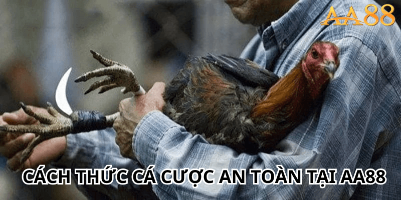 Cách thức cá cược an toàn tại AA88