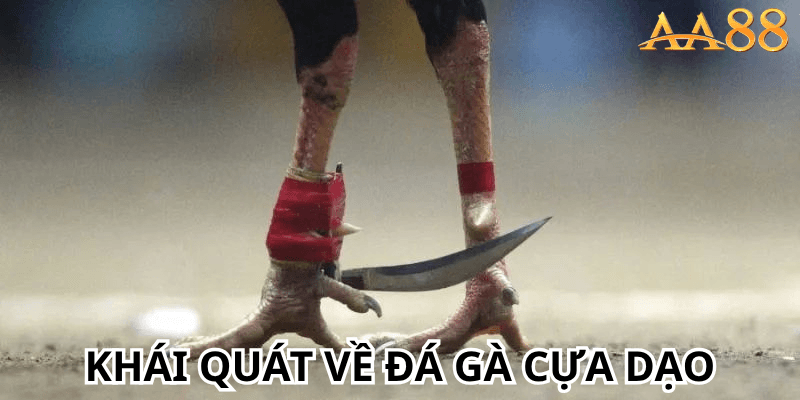 Khái quát về đá gà cựa dạo