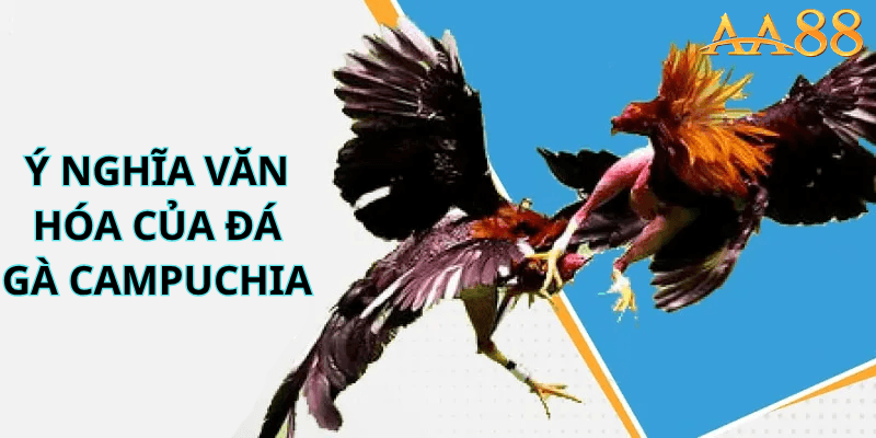 Ý Nghĩa Văn Hóa Của Đá Gà Campuchia