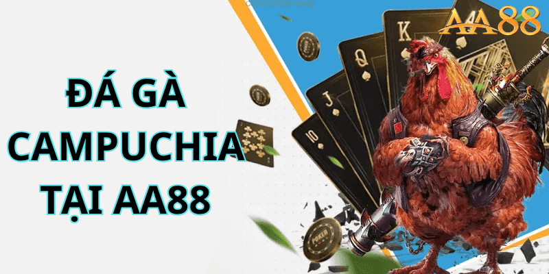 Đá Gà Campuchia tại aa88